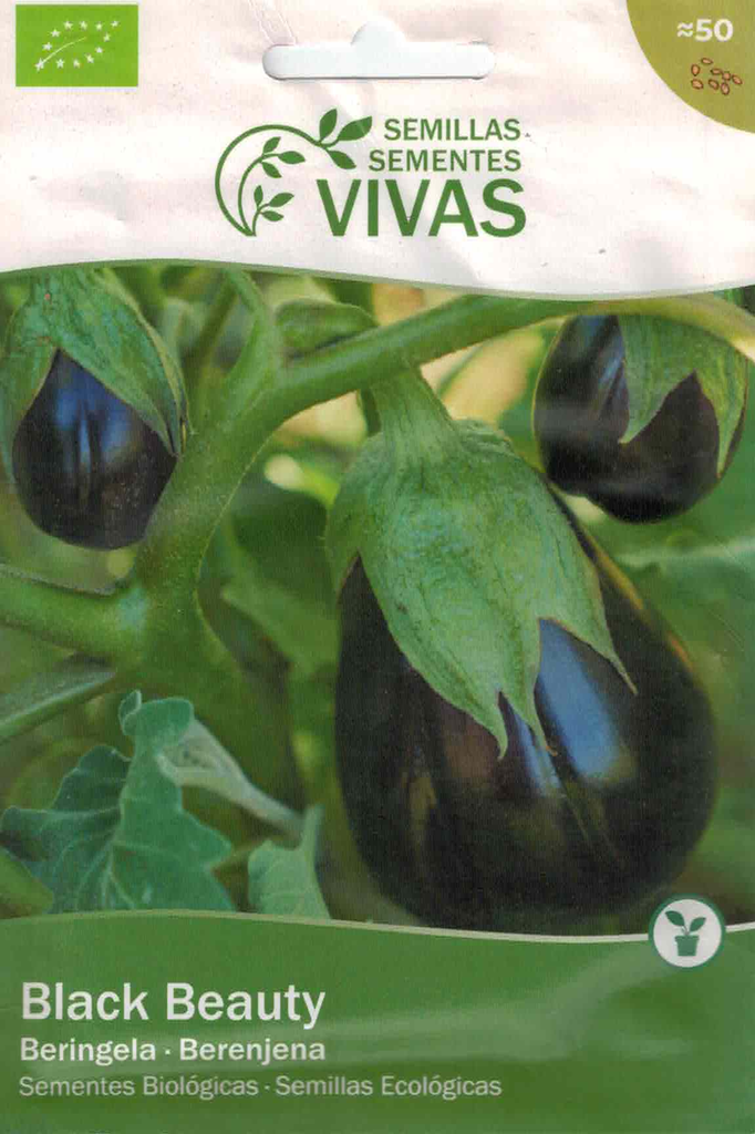 SEMENTES BERENXENA BLACK BEAUTY - VIVAS