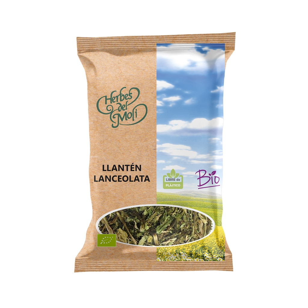 LLANTEN 30G - HERBES