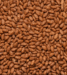 ARROZ INCHADO CHOCOLATE