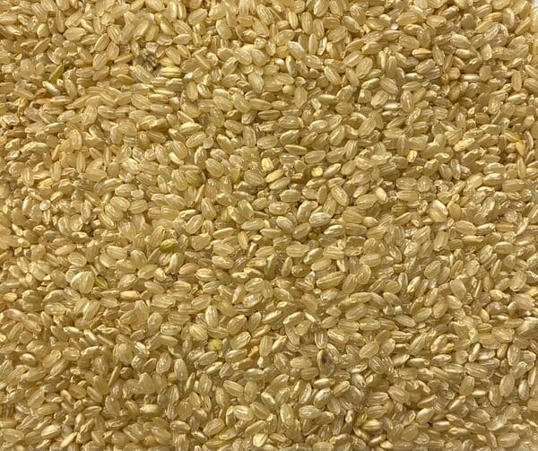 ARROZ INTEGRAL REDONDO