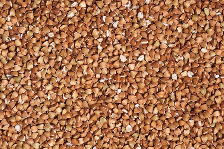 TRIGO SARRACENO (Cesta básica)